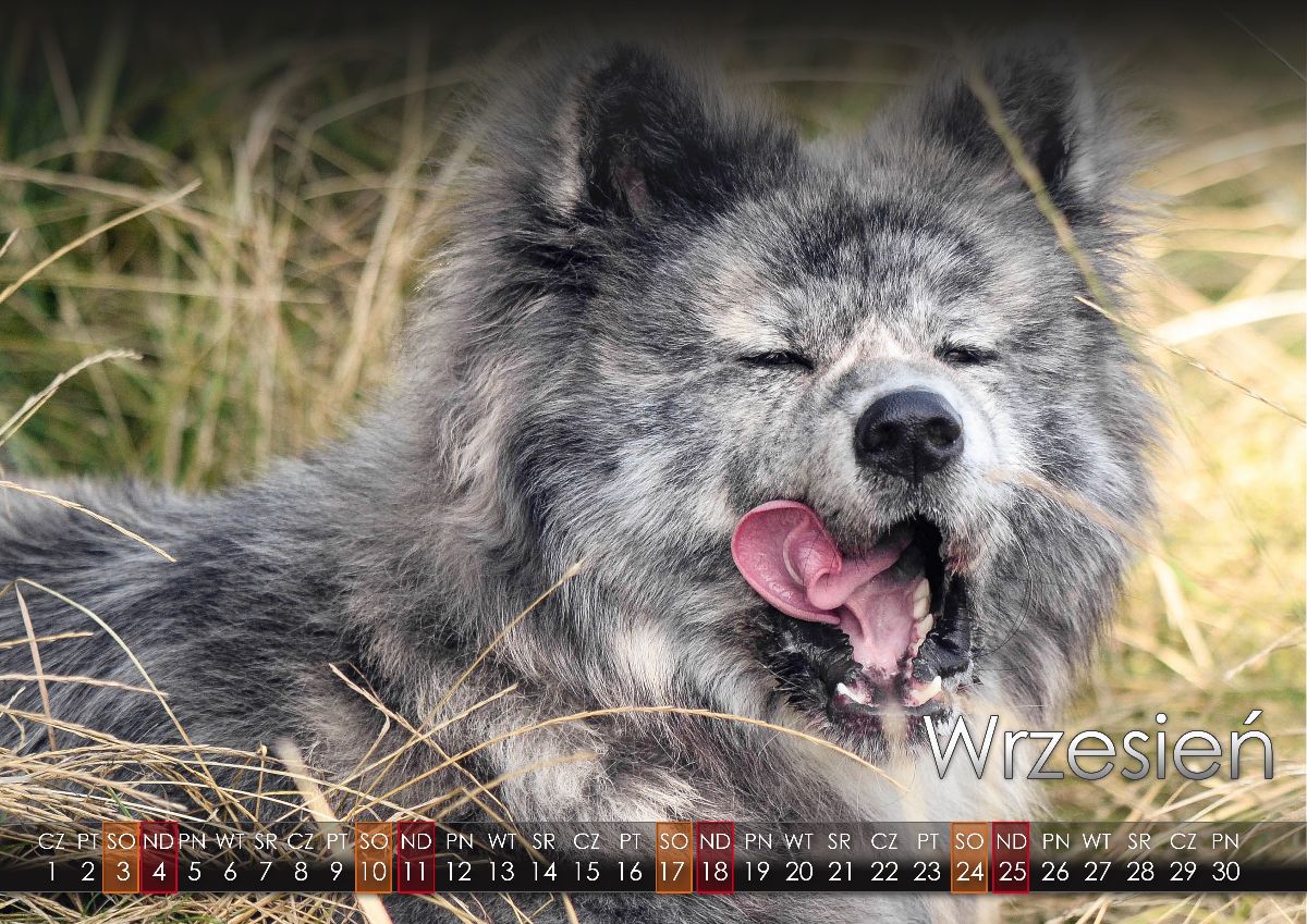 09 Wrzesien2022 copy